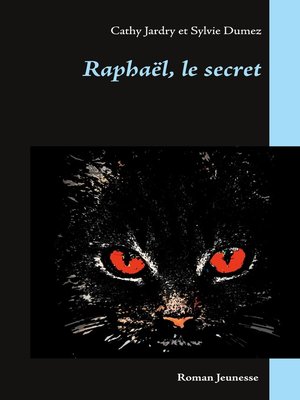cover image of Raphaël, le secret